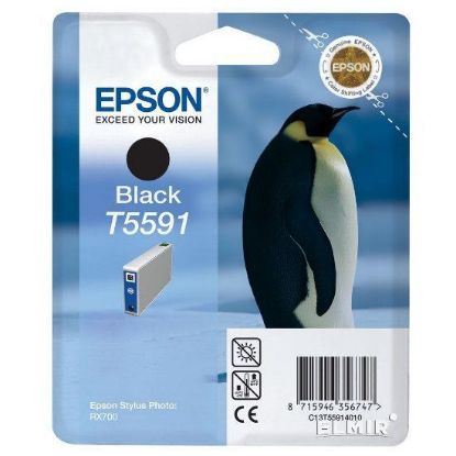 Изображение Картридж cтруменевий Epson StPhoto RX700 black (C13T55914010)