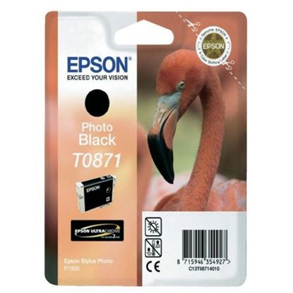 Изображение Картридж cтруменевий Epson StPhoto R1900 photo black (C13T08714010)