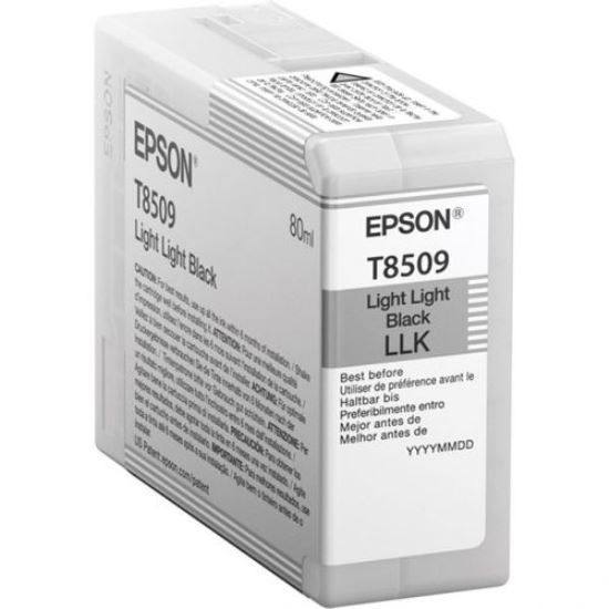 Зображення Картридж cтруменевий Epson SureColor SC-P800 light light black (C13T850900)